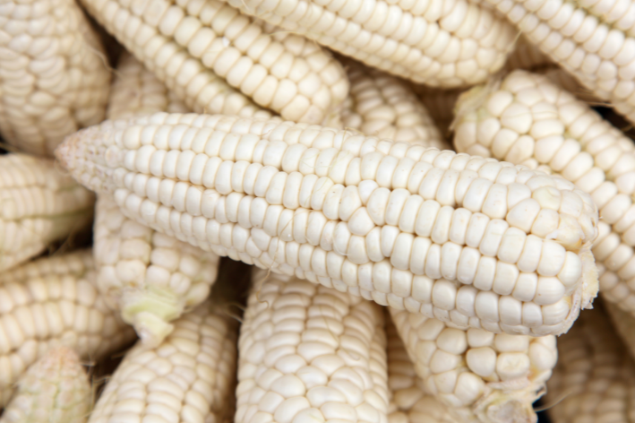 Seeds shop - Embrace the sweetness of White Lady Sweetcorn