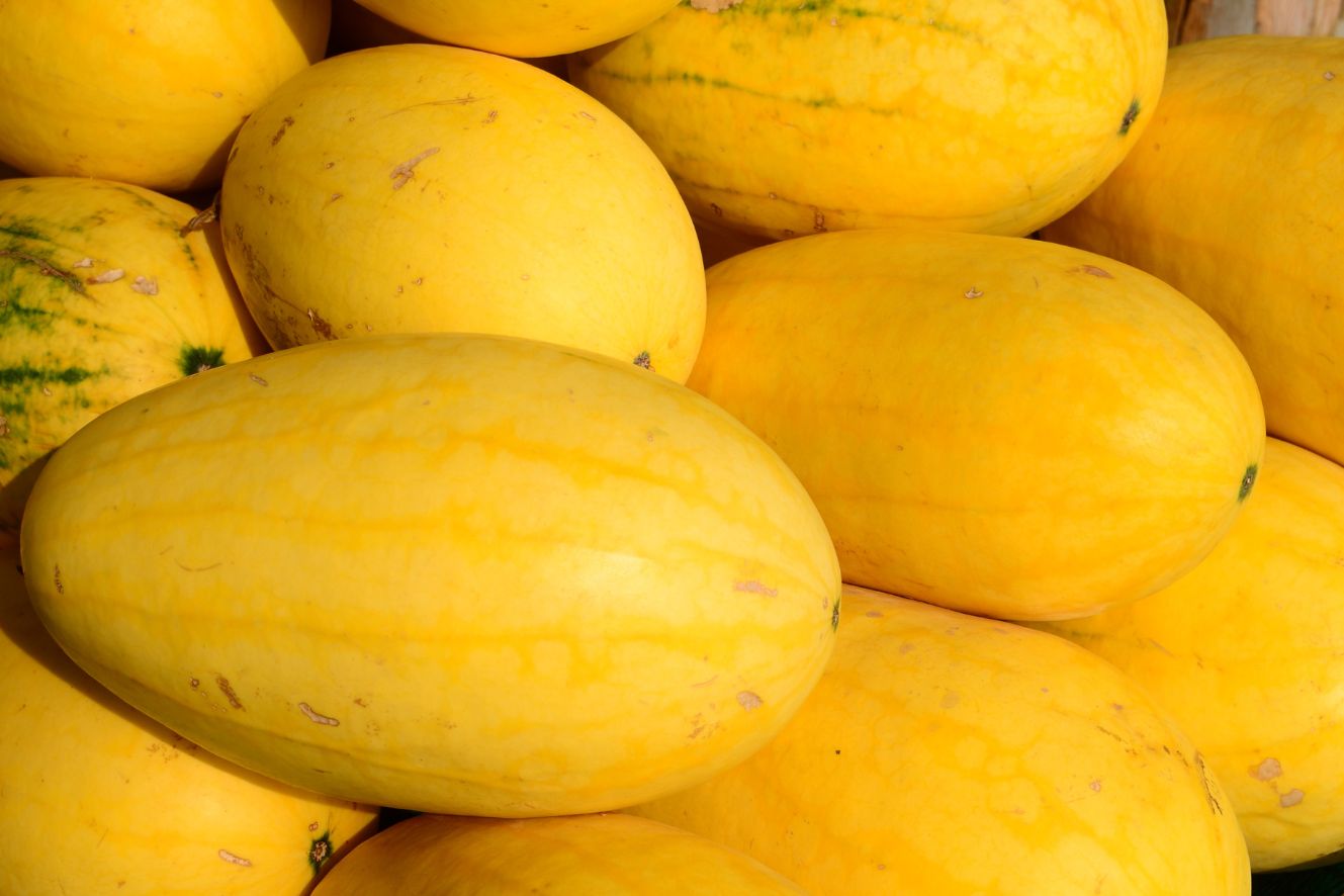 Freshly Harvested Yellow Watermelon Seeds - Perfect for Home Gardening