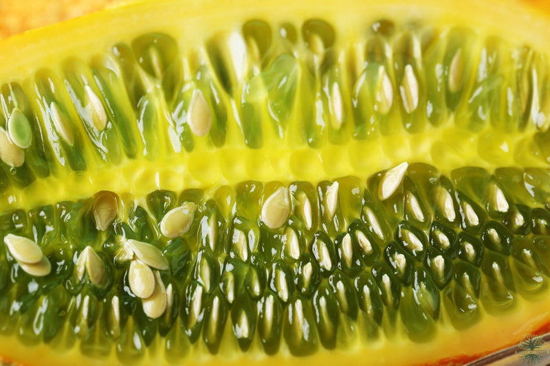 Buy Exotic Kiwano Seeds - Tropical Delight!
