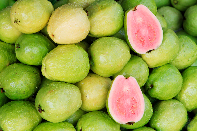 Tempting Guava Seeds - Order today
