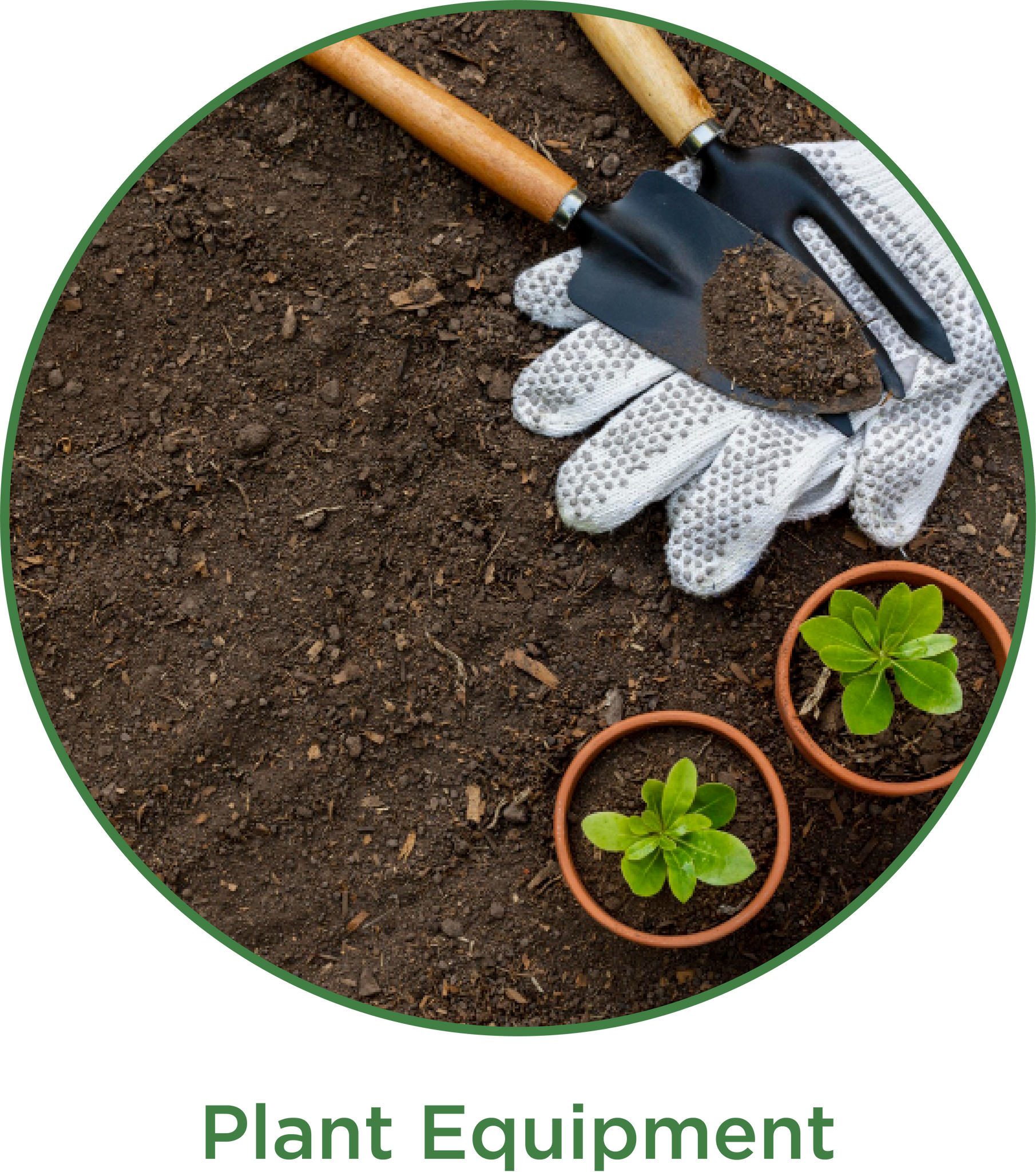 PLANT-MY-SEEDS | Buy Online Fresh Organic, Heirloom, Garden Equipment - Plant Care & Grow Guide