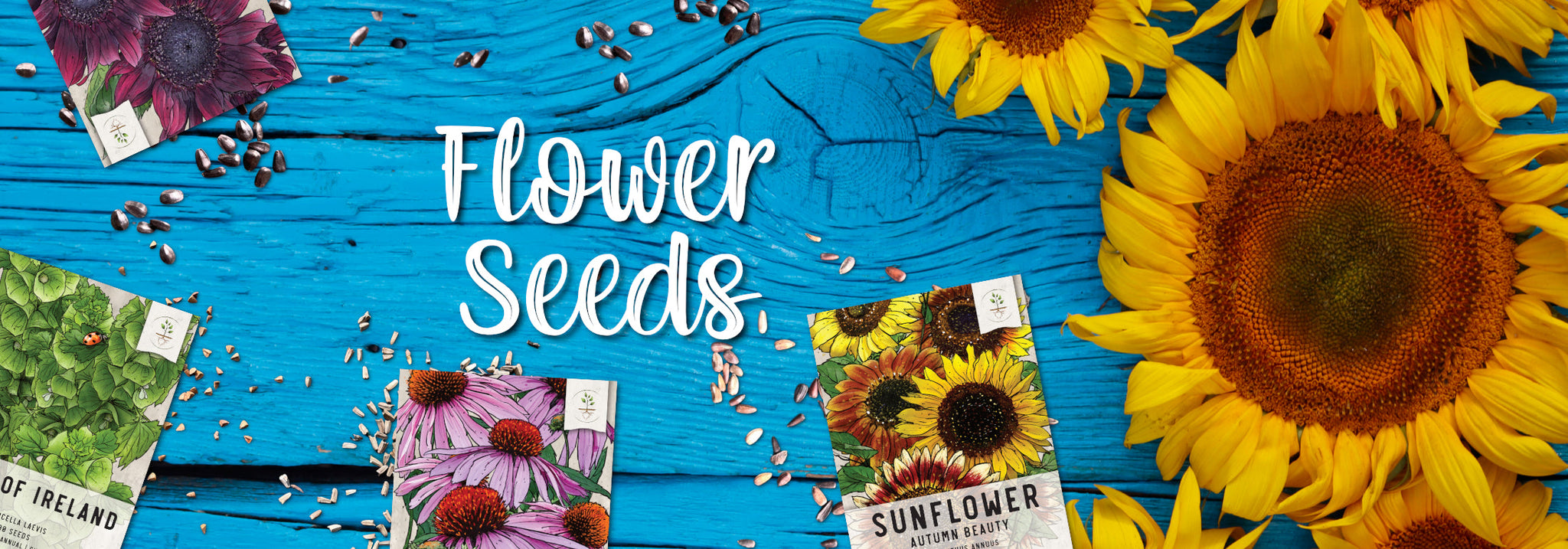 Plant-my-seeds | Buy fresh Organic Heirloom Flower Seeds