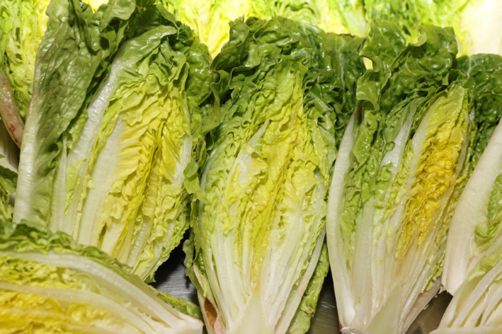Authentic Italian Lettuce Seeds - Order Now!