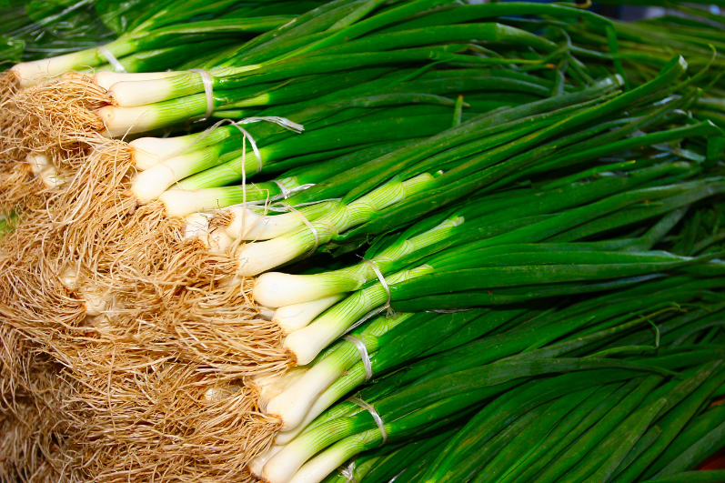 Sow the Goodness with Green Spring Onion Seed Varieties