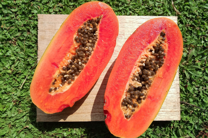 Buy Red Taiwan Papaya Seeds - Tropical delight!