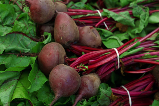 Boltardy Beetroot Seeds 