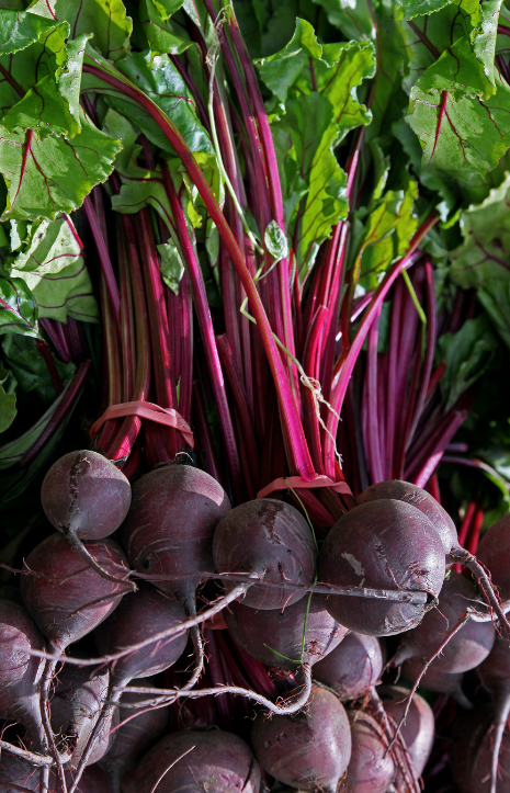 Buy F1 Cardeal Beetroot Seeds - Garden delights with a touch of red!