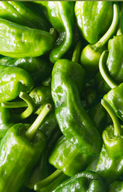 Seeds shop - Embrace pepper's rich flavor!
