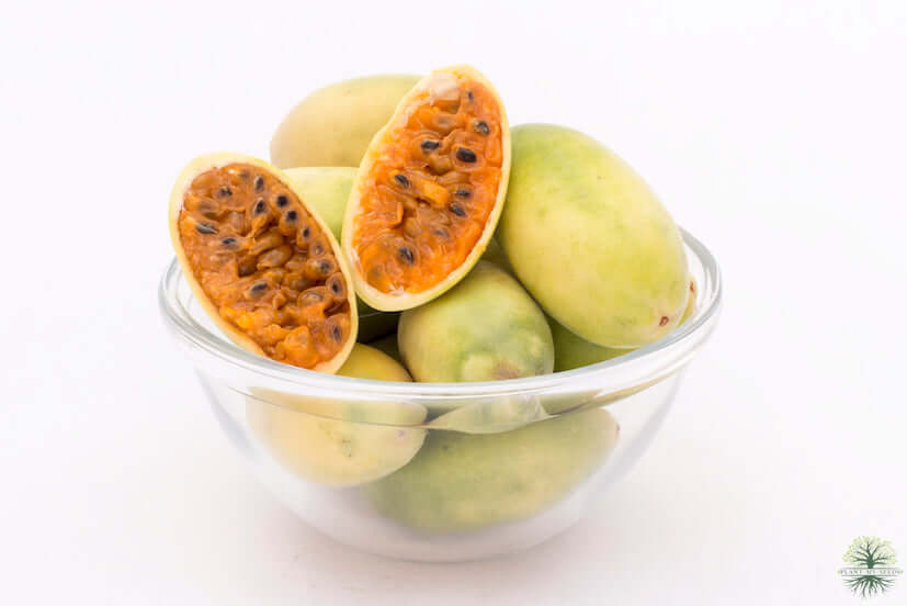 Savor the tropics with Banana Passionfruit Seeds