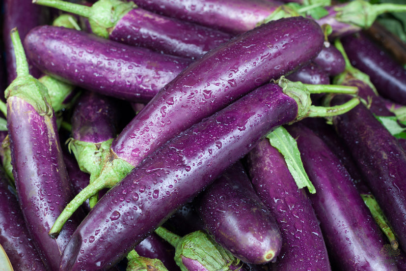 Long Purple Eggplant Seeds | Aubergine Seeds