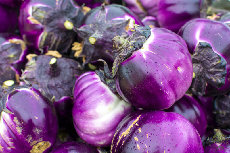 Buy Seeds | Purple Aubergine Seeds  | Eggplant - Violetta di Firenze